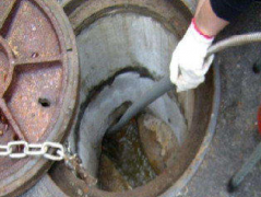 疏通馬桶地漏高壓清洗下水道疏通提供菜池疏通、面盆疏通、浴缸疏